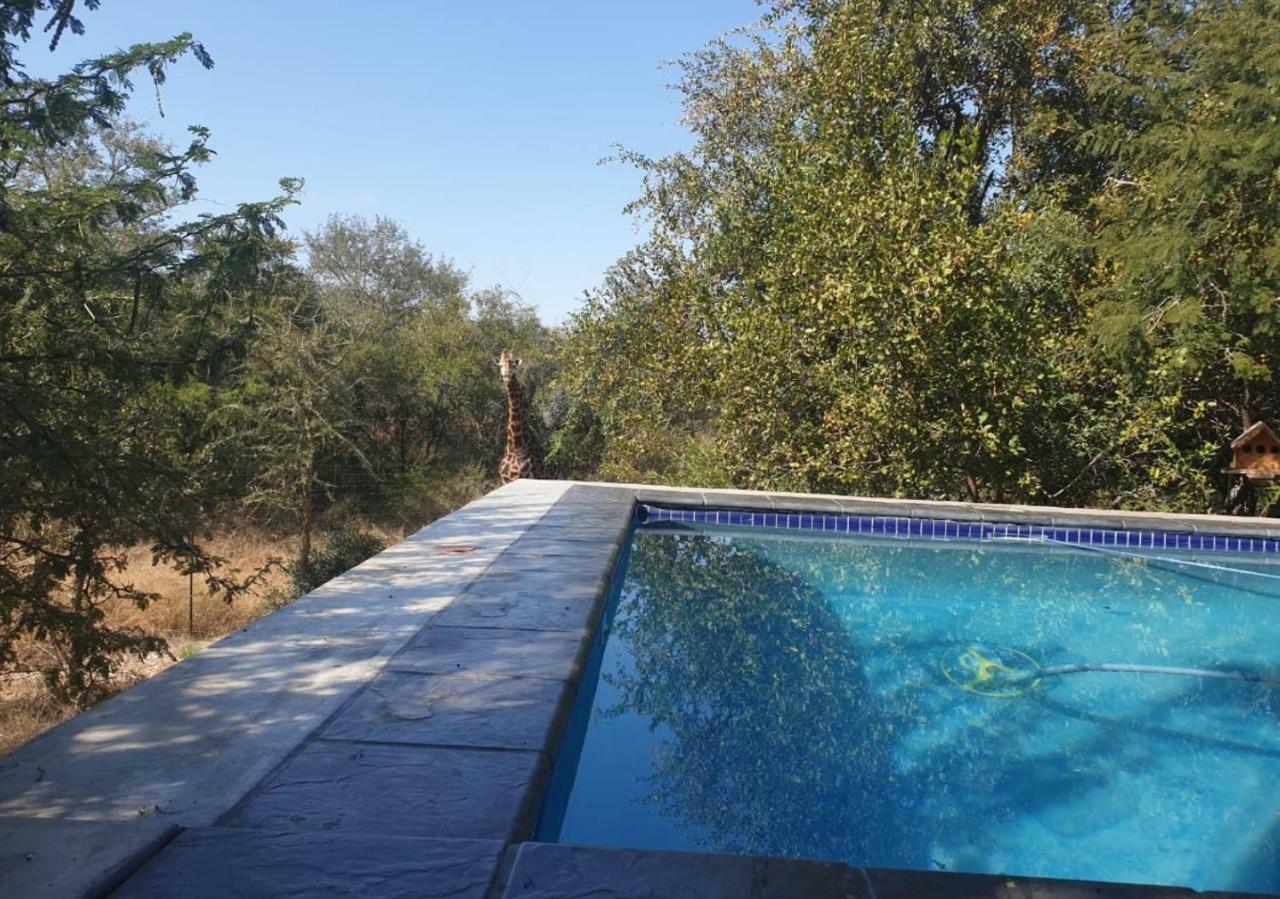 Lionsview Private Lodge - 6 Lions Marloth Park Εξωτερικό φωτογραφία