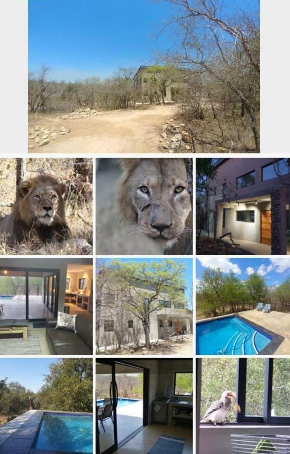 Lionsview Private Lodge - 6 Lions Marloth Park Εξωτερικό φωτογραφία
